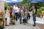 IMG 9293 - Schultheiß Projektentwicklung GmbH
