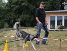 Schultheiss Tierklinik 61 - Schultheiß Projektentwicklung GmbH