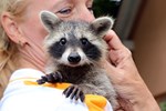 Schultheiss Tierklinik 96 - Schultheiß Projektentwicklung GmbH