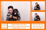 129365 Strip - Schultheiß Projektentwicklung GmbH