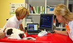 Schultheiß Projektentwicklung GmbH, Regelmäßig Blutdruck prüfen
