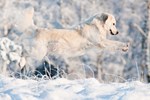 Schultheiß Projektentiwkclung GmbH, Rundum winterfest durch die „Kalte Jahreszeit“